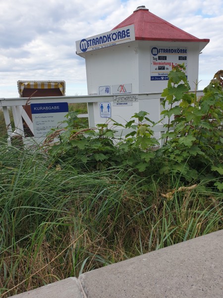 Ostsee 2020 (94).jpg