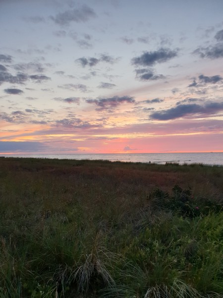 Ostsee 2020 (95).jpg