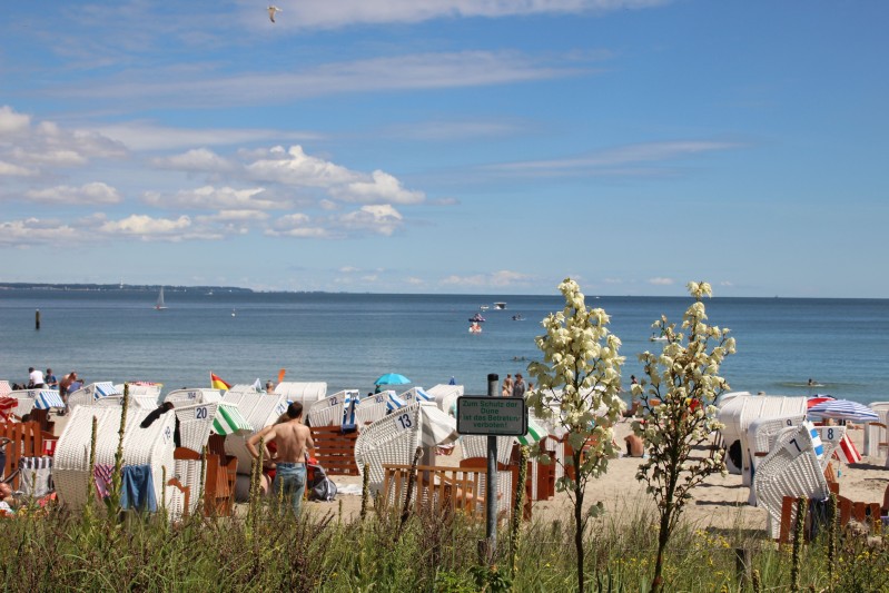 Ostsee 2020 (102).jpg