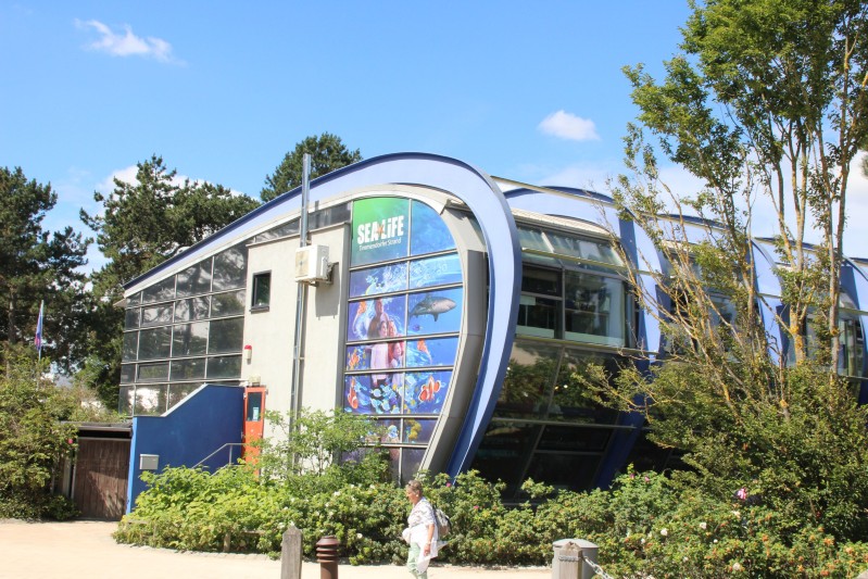 Ostsee 2020 (104).jpg