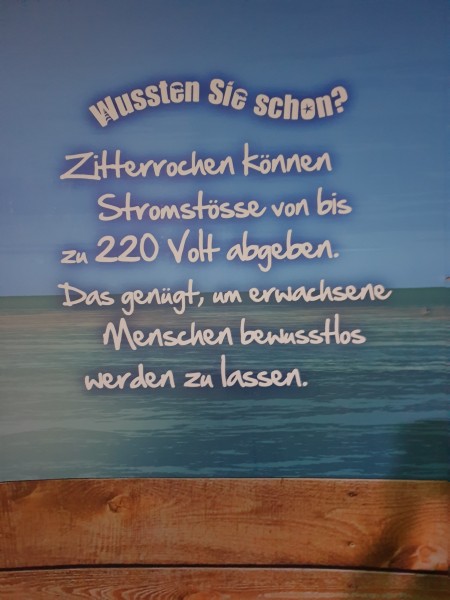 Ostsee 2020 (120).jpg