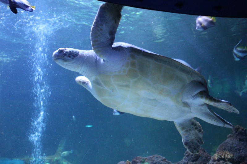 Ostsee 2020 (132).jpg
