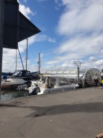 Ostsee 2020 (3).jpg