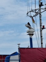 Ostsee 2022