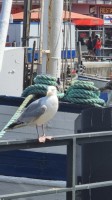 Ostsee 2022