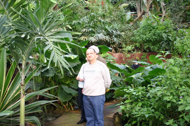 Papiliorama Dez (17).JPG