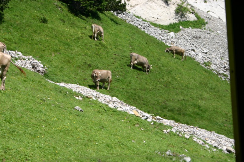 Pilatus