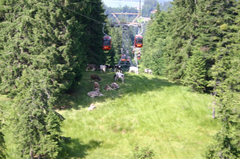 Pilatus