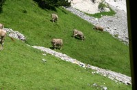 Pilatus