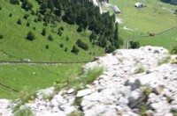 Pilatus