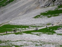 Pilatus