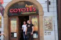 Coyotes