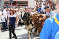 Sängerfest Finsterwalde