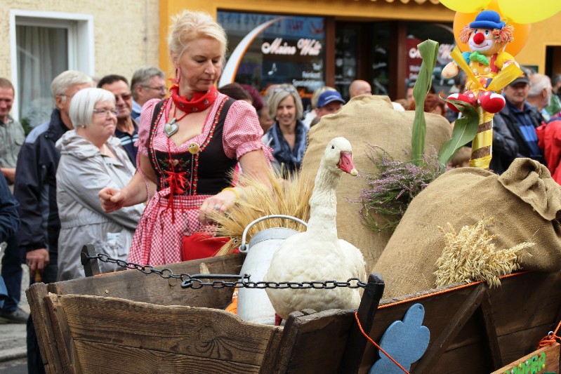 Sängerfest 2014 Finsterwalde