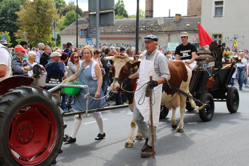 Sängerfest Finsterwalde 2018