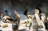 Marineland