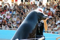 Marineland