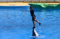 Marineland