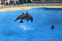 Marineland