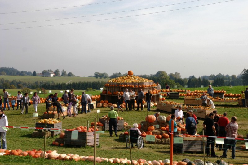Strohskulpturen in Höchenschwand