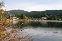 am Titisee