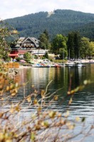 am Titisee