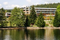 am Titisee