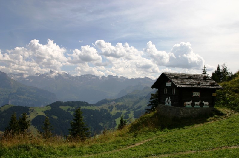 Stanserhorn (16).JPG