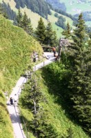 Stanserhorn (13).JPG