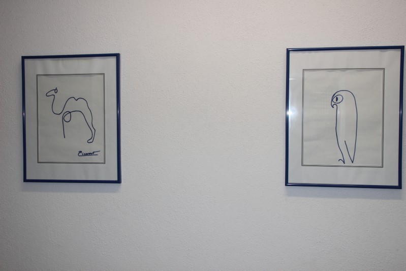 Picasso