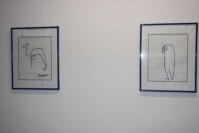 Picasso