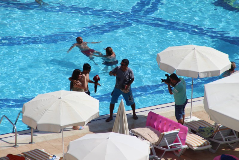 Papagei am Pool