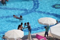 Papagei am Pool