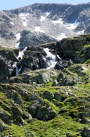 auf dem Flüelapass