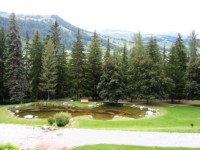 der Park vorm Hotel