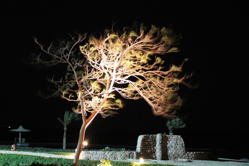 starker Wind in der Nacht