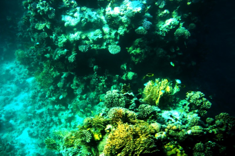 Blick aus dem Boot