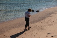 Muschelsucher