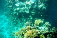 Blick aus dem Boot