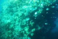 Blick aus dem Boot